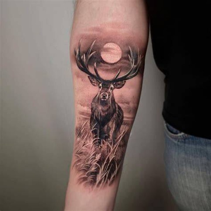 15+ Realistic Deer Tattoo Ideas PetPress Deer tattoo, Sleeve