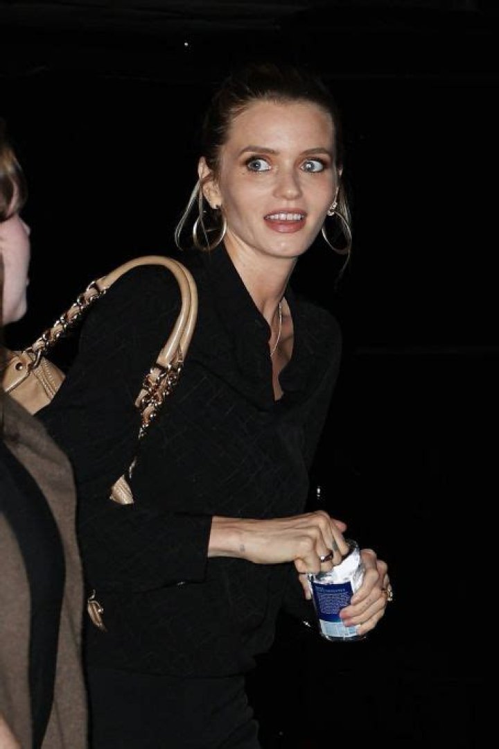 Abbey Lee Kershaw is Seen Out in Sydney Before Film Premiere The