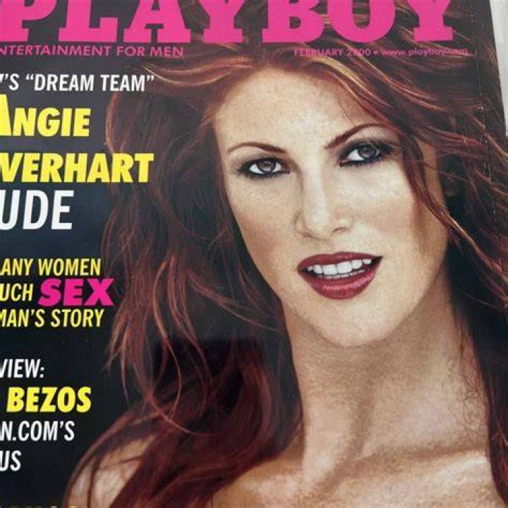 Angie everhart playboy collection