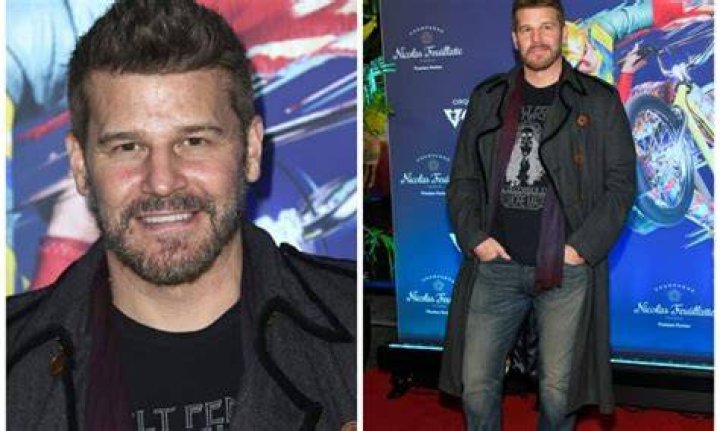 David Boreanaz Net Worth (2020 Update)