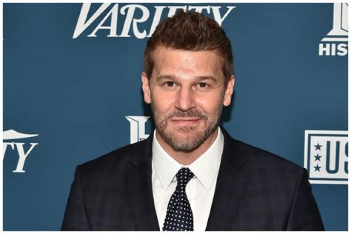 David David Boreanaz Photo (1558716) Fanpop