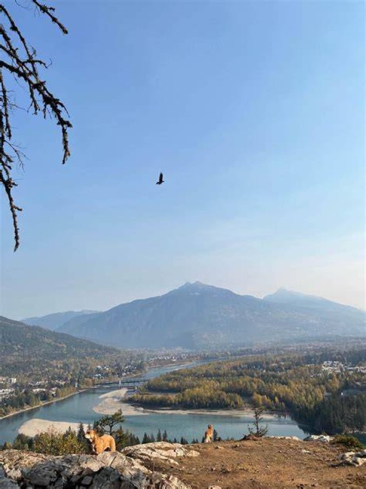 Dream Lounge Cannabis Revelstoke, BC Dispensary Leafly
