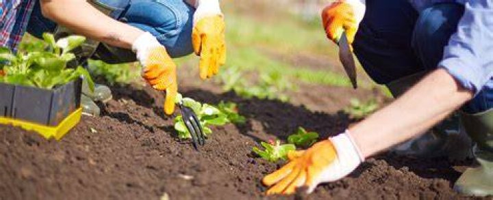 Gardeners' World Gardener Sue Kent Wikipedia And Age
