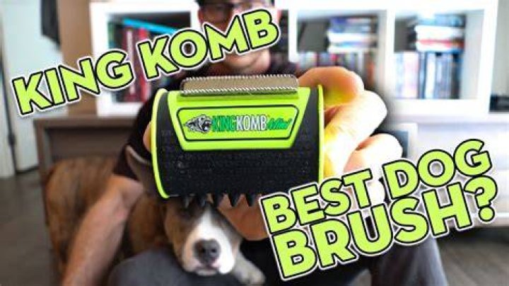 King Komb Review All Pet Cages