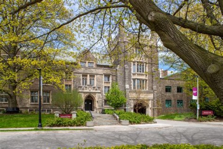 Maya Eriksen McMaster University Hamilton, Ontario, Canada LinkedIn
