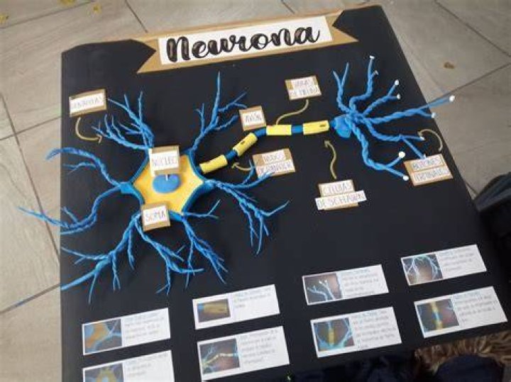 Neuronas Creativas Portfolio &raquo; Lia Joyer&iacute;a