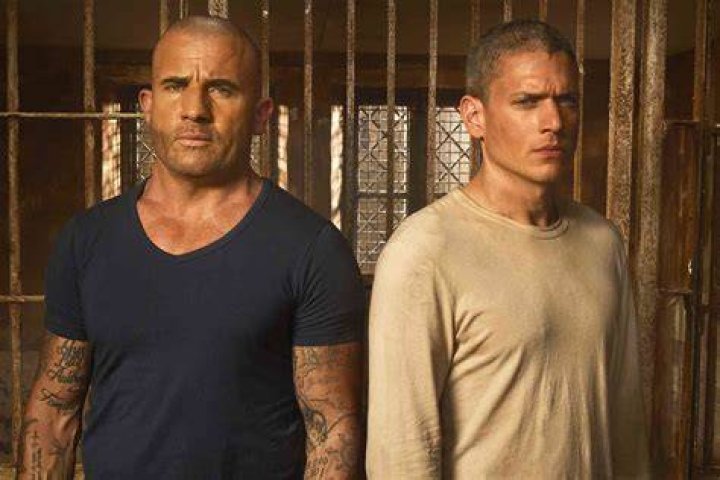 Pin on Dominic Purcell