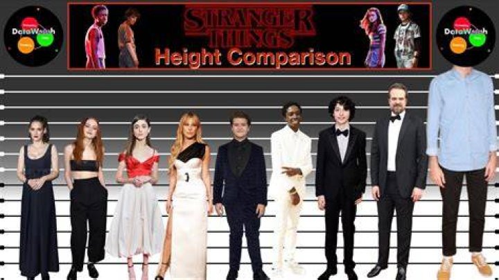 Stranger Things Height Chart Ranking the Cast from Shortest to Tallest