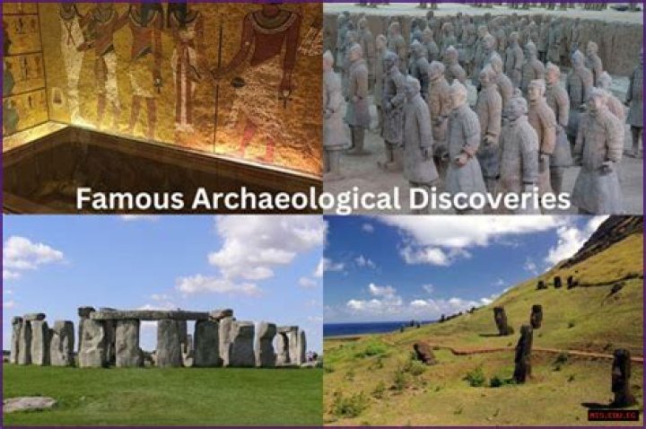 Unveiling The World Of "Wowlavish": Discoveries And Insights