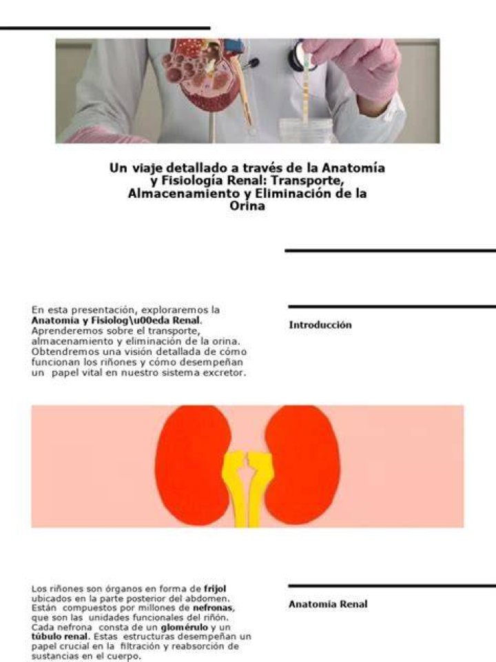 WDfrqjb.jpg (775&times;1072) Anatom&iacute;a